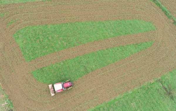 1585034927825030666.jpeg 5e796db8a31012820661423d.jpeg