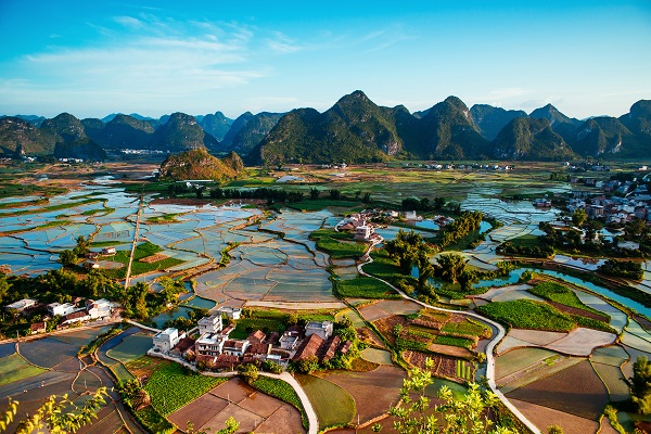 1589786806170077550.jpg 平果2.jpg