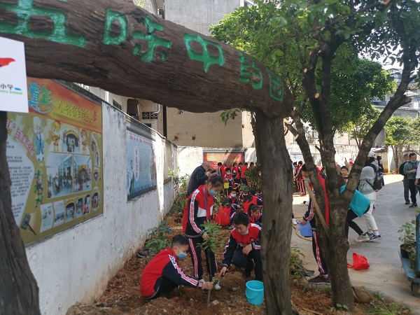 1588142308887008404.jpg 1.jpg