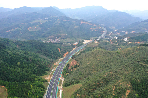 1587531535278044130.jpg 1.jpg