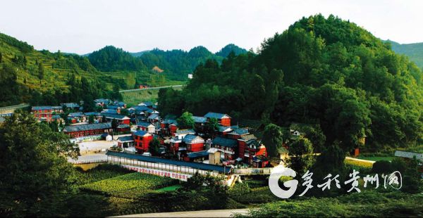 1589794495074066360.jpg 00303842890_017f9696.jpg