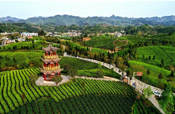 1587694928826005625.jpg 微信图片_20200424101126.jpg