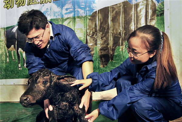 1546048814002021173.jpg 烟台5.jpg