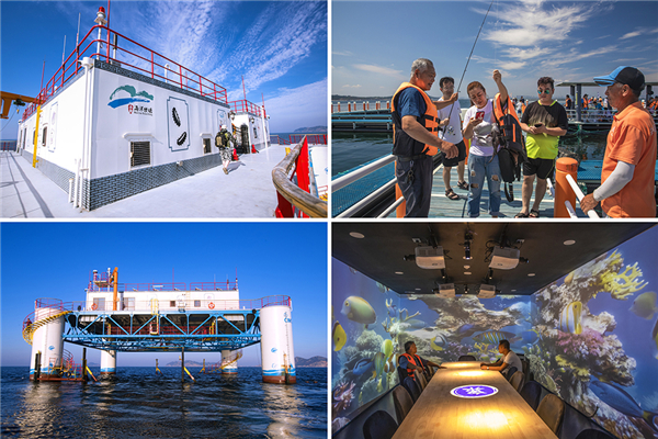 1546048858023060203.jpg 烟台8.jpg