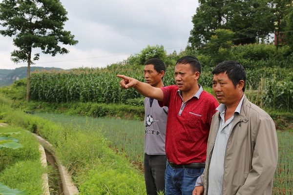 1591841193477082014.jpeg 5ee17133a3108348fcd42a79.jpeg