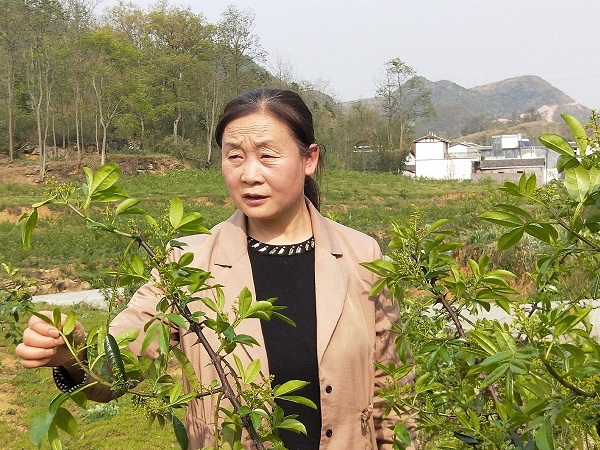 1591324993908069412.jpeg 5ed991f5a310a8b2fa4ec91e.jpeg