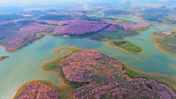 1591068735300066670.jpeg 5ed58c38a310a8b2fa4df4a3.jpeg