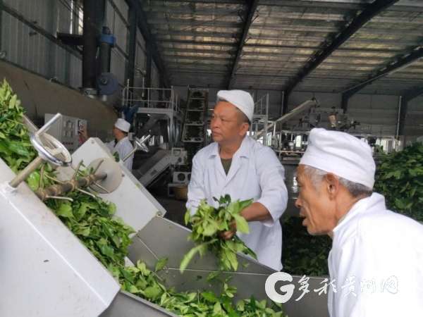 1590053452702064567.jpg 00303849346_fe4de7ba.jpg