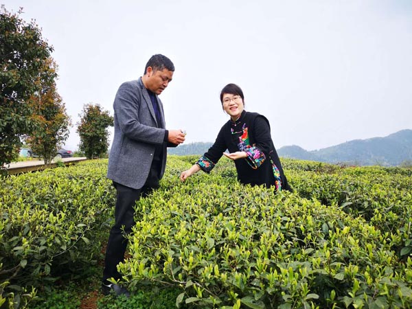 1590468815671011643.jpeg 5ecc5cffa310a8b2fa4ae106.jpeg