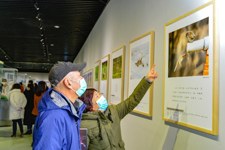 Bird-themed ecological art exhibition opens