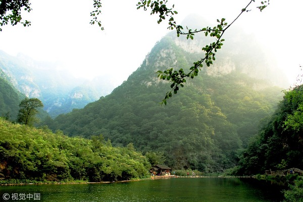 1553136605486087226.jpeg 5bd2d792498ebfcd474041e2.jpeg