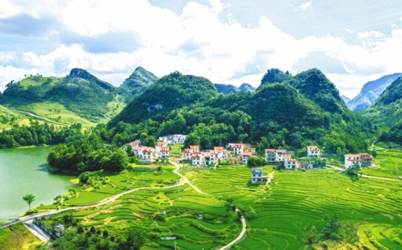 1630055506482033783.jpg 082701.jpg