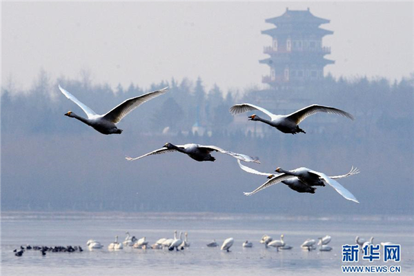 1511493565370088451.jpg 52_副本.jpg