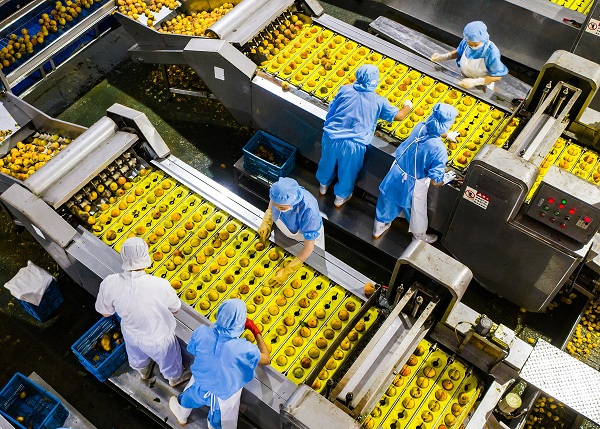 1641352990351068951.jpeg 湖北营商环境.jpeg