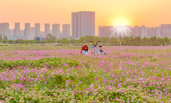 1650349327305050191.png 微信图片_20220419134020.png