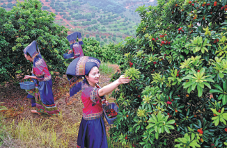 1652406034655030872.png 627da4aba3109375854ba61a.png