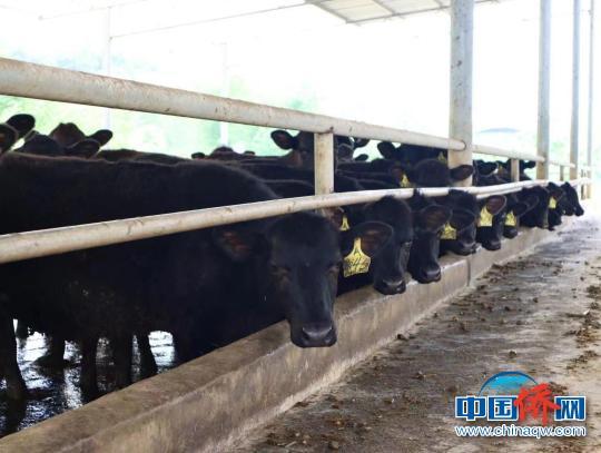 1652079716464032014.jpeg 050902.jpeg