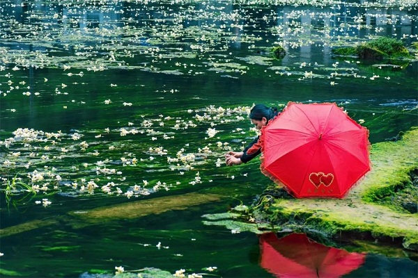 1651738612780014536.jpg 050501.jpg