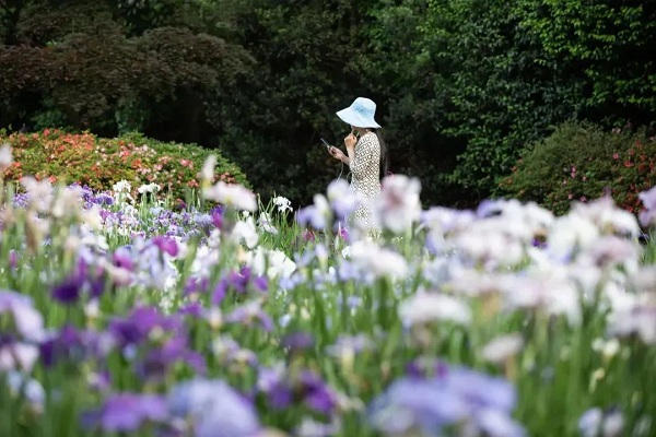 1652925428762010117.jpg w2.jpg