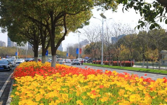 1652770728766022110.jpg 微信图片_20220517100739.jpg