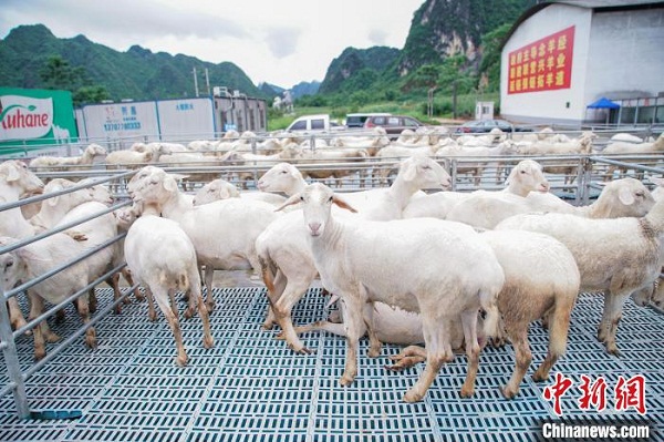 1654506980602008756.jpg 0606.jpg