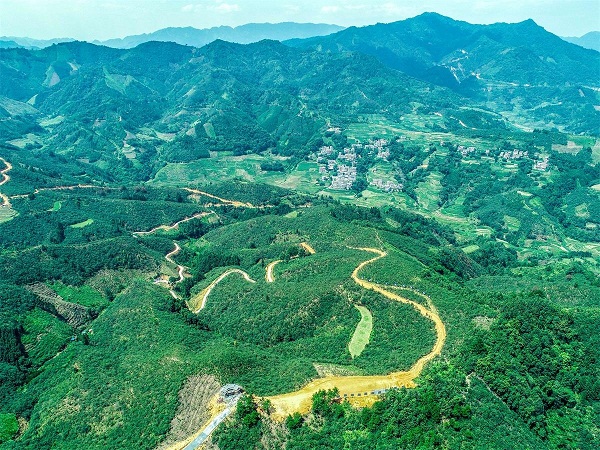 1656316840346038480.jpg 062701.jpg