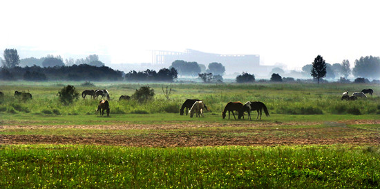 1560933318781081882.jpg 微信图片_20190618104727_副本.jpg