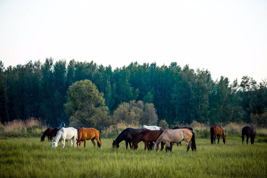 1560933326926057218.jpg 微信图片_20190618104734_副本.jpg