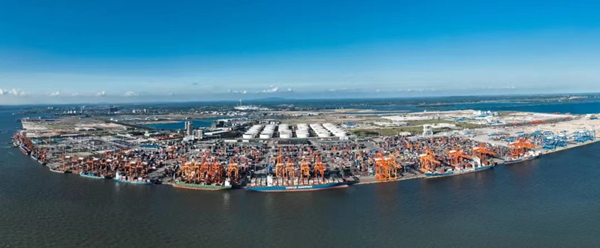 1659933502472086143.jpg 3_副本.jpg