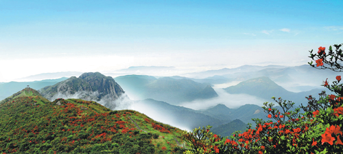 1665973622445051113.png 634b537ea3109375854d08bd.png