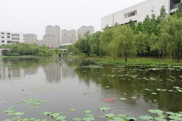 1449732265856039985.jpg 201564144750228.jpg