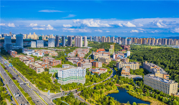 1605511757414054133.jpg 3.jpg