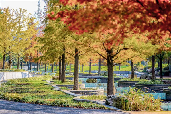 1667294205299092531.jpg 1101-pd-1.jpg