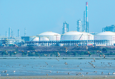 1667790016604073346.jpg 未标题-7.jpg