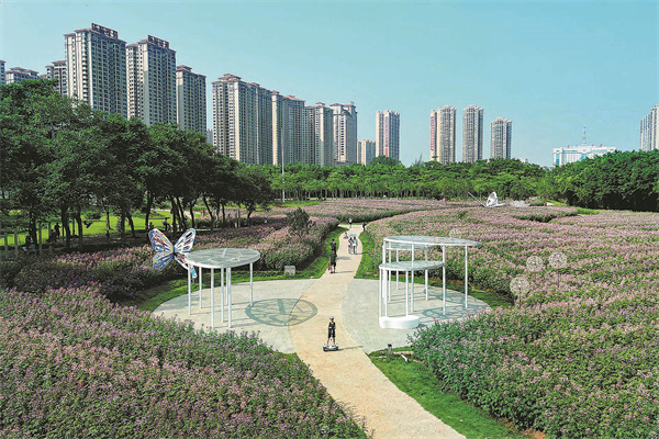 1665973582898076234.jpg 未标题-32.jpg