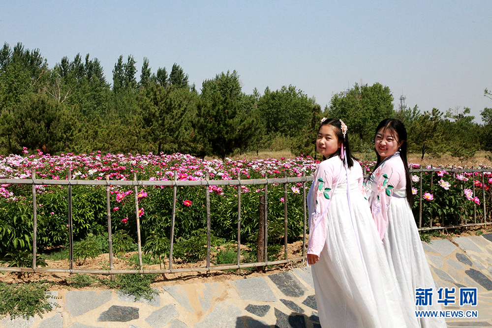 1559641930840004180.jpg 1559641930840004180.jpg