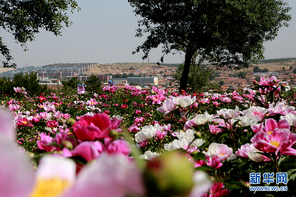 1559641959658077487.jpg 1559641959658077487.jpg