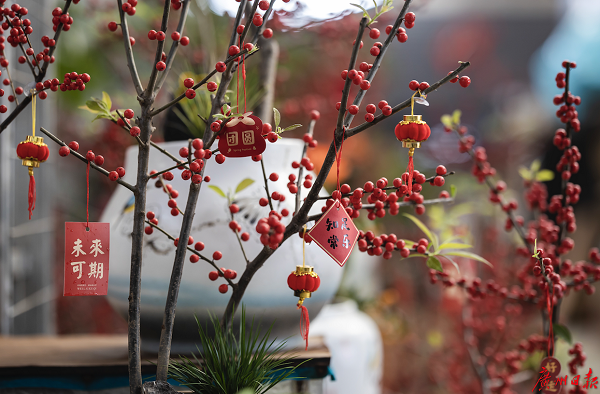 1672905298353055327.jpg 2.jpg