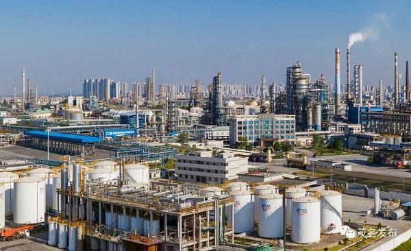 1675062135562090948.jpg 茂名013002.jpg