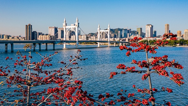 1675905954925021106.jpg 12.jpg