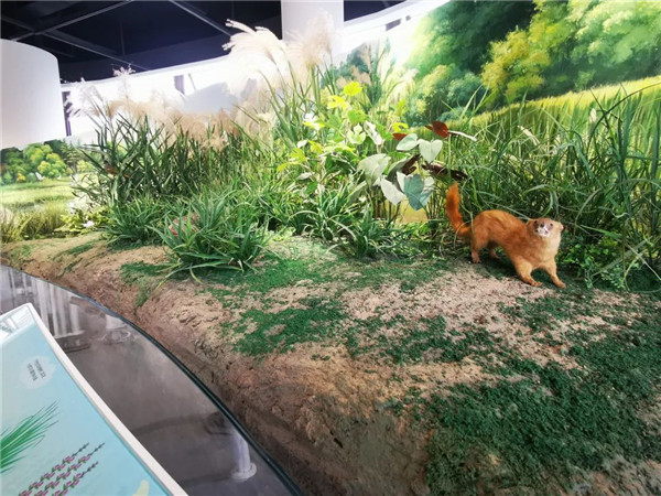 1677222067259021045.jpg 24-pd-2_副本.jpg