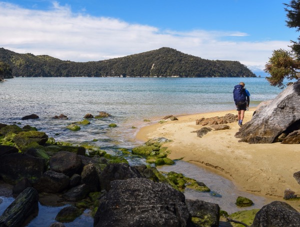 1539764672681072321.jpg 5bc550d7a310eff36901114f.jpg