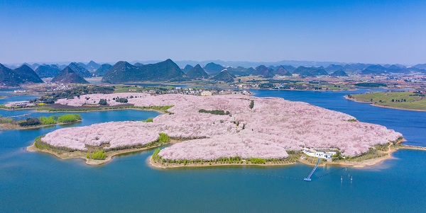 1680773384236011740.jpg 4.jpg