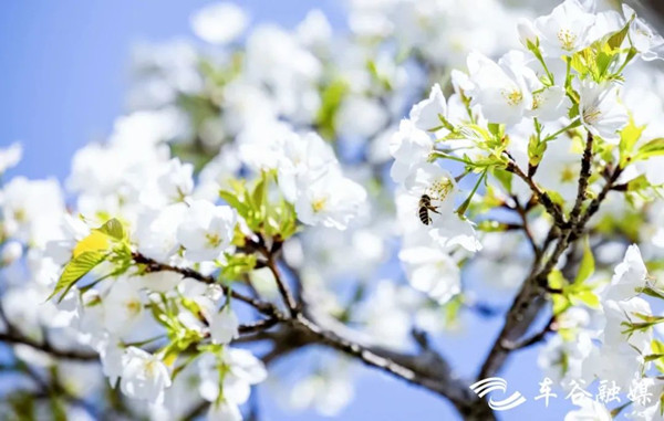 1679385324776002275.jpg W020230320387747280402_副本.jpg