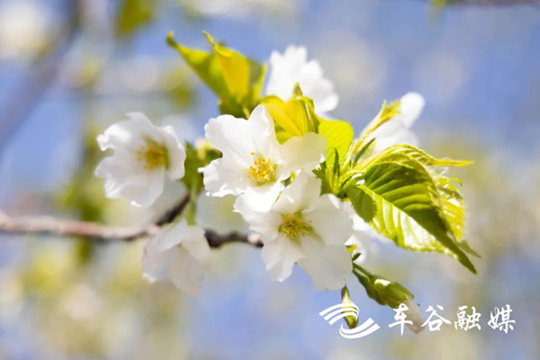 1679385336133004186.jpg W020230320387748210363_副本.jpg