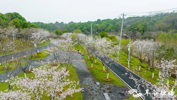 1679385340808027698.jpg W020230320387723211012_副本.jpg