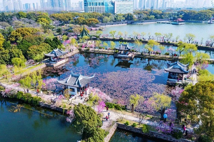 1682562868040076615.jpg liyuan.jpg