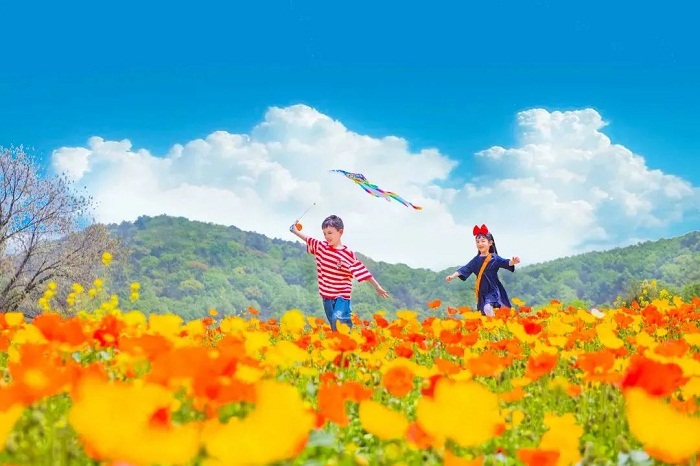 1682562878615045187.jpg nianhuawan.jpg