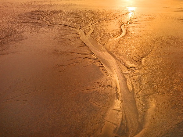 1682586029010010866.jpg 0d4ea655-fdb3-4799-9211-a433ea062e99.jpg