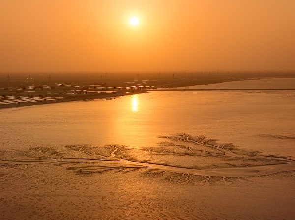 1682586059603048066.jpg 7ad2d61b-e176-4feb-9aca-4c63838ab149.jpg